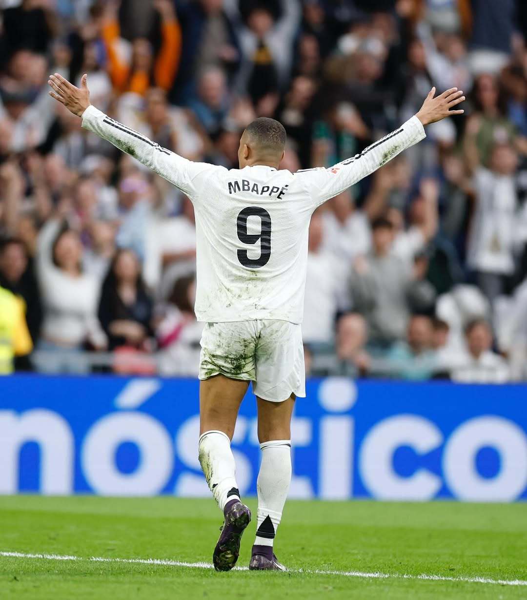 古墓丽影 古墓丽影